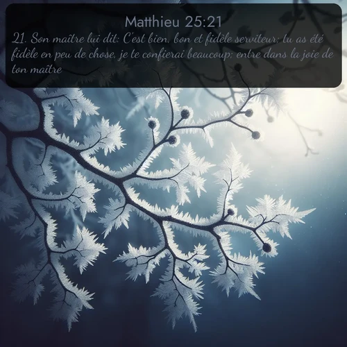 Segond Évangile selon Matthieu  ; image nature: image avec le verset biblique :Son maître lui dit: C&#039;est bien, bon et fidèle serviteur; tu as été fidèle en peu de chose, je te confierai beaucoup; entre dans la joie de ton maître. ;  ; 25:21