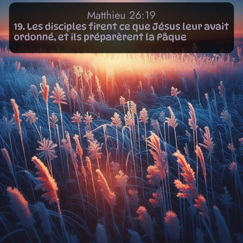 Segond Évangile selon Matthieu  ; image nature: image avec le verset biblique :Les disciples firent ce que Jésus leur avait ordonné, et ils préparèrent la Pâque. ;  ; 26:19