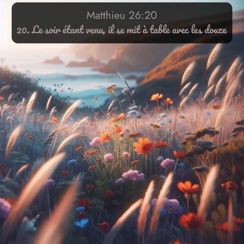 Segond Évangile selon Matthieu  ; image nature: image avec le verset biblique :Le soir étant venu, il se mit à table avec les douze. ;  ; 26:20