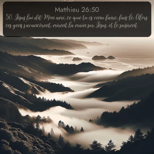 Segond Évangile selon Matthieu  ; image nature: image avec le verset biblique :Jésus lui dit: Mon ami, ce que tu es venu faire, fais-le. Alors ces gens s&#039;avancèrent, mirent la main sur Jésus, et le saisirent. ;  ; 26:50