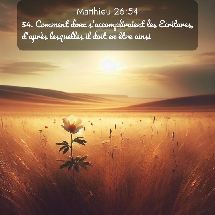 Segond Évangile selon Matthieu 26:54