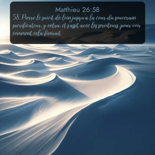 Segond Évangile selon Matthieu  ; image nature: image avec le verset biblique :Pierre le suivit de loin jusqu&#039;à la cour du souverain sacrificateur, y entra, et s&#039;assit avec les serviteurs, pour voir comment cela finirait. ;  ; 26:58