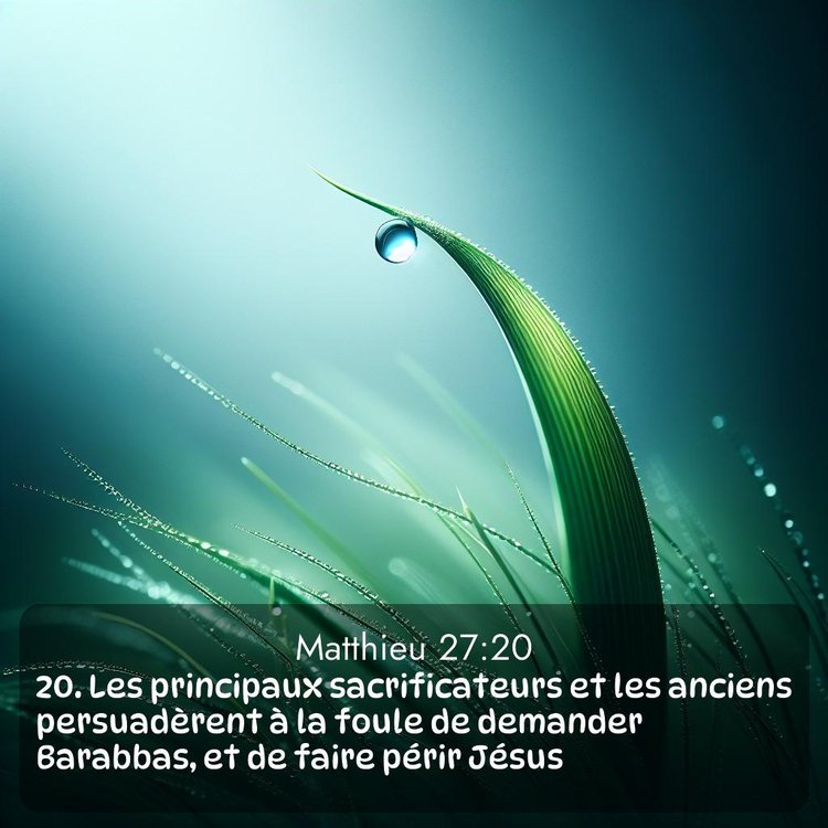 image nature avec verset biblique de la Bible