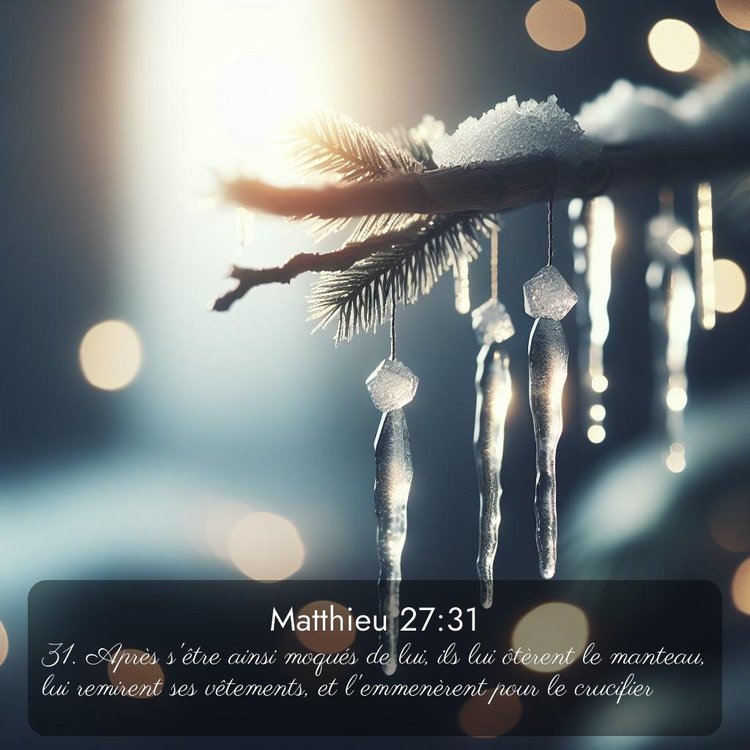 Segond Évangile selon Matthieu 27:31