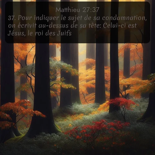 Segond Évangile selon Matthieu  ; image nature: image avec le verset biblique :Pour indiquer le sujet de sa condamnation, on écrivit au-dessus de sa tête: Celui-ci est Jésus, le roi des Juifs. ;  ; 27:37