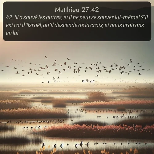 Segond Évangile selon Matthieu  ; image nature: image avec le verset biblique :Il a sauvé les autres, et il ne peut se sauver lui-même! S&#039;il est roi d&#039;Israël, qu&#039;il descende de la croix, et nous croirons en lui. ;  ; 27:42