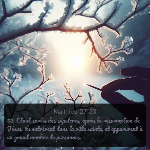 Segond Évangile selon Matthieu  ; image nature: image avec le verset biblique :Etant sortis des sépulcres, après la résurrection de Jésus, ils entrèrent dans la ville sainte, et apparurent à un grand nombre de personnes. ;  ; 27:53