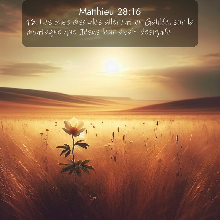 Segond Évangile selon Matthieu 28:16