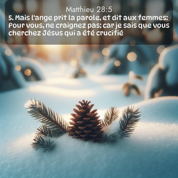 Segond Évangile selon Matthieu 28:5