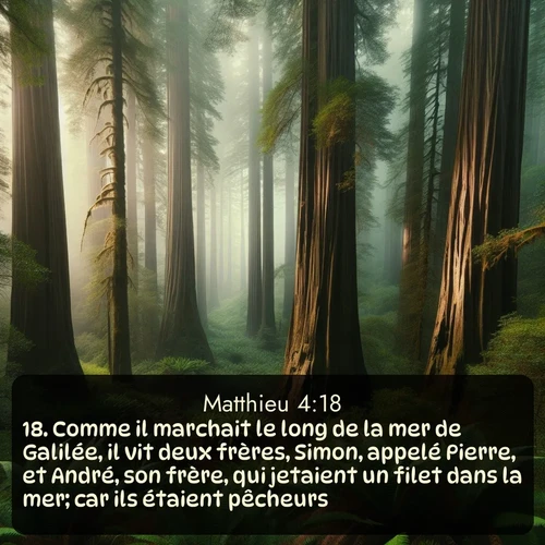 Segond Évangile selon Matthieu  ; image nature: image avec le verset biblique :Comme il marchait le long de la mer de Galilée, il vit deux frères, Simon, appelé Pierre, et André, son frère, qui jetaient un filet dans la mer; car ils étaient pêcheurs. ;  ; 4:18
