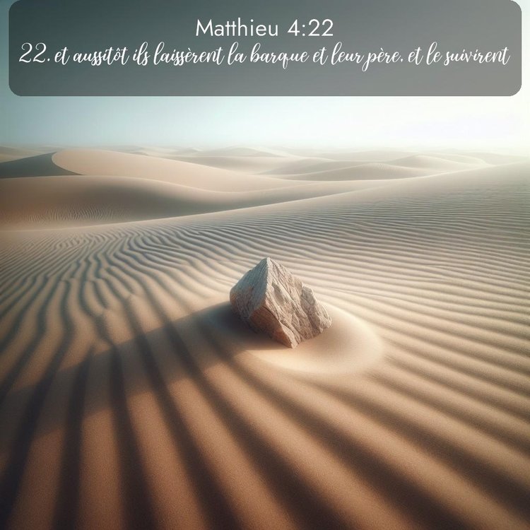 Segond Évangile selon Matthieu 4:22