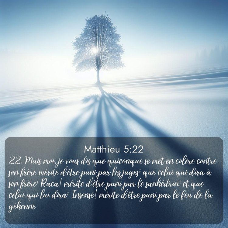 Segond Évangile selon Matthieu 5:22