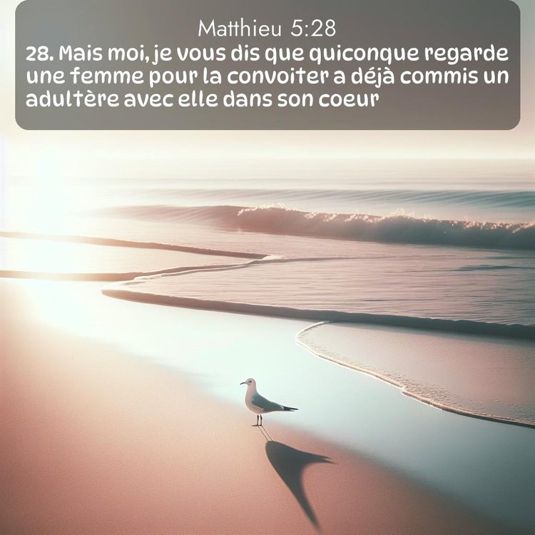 Segond Évangile selon Matthieu 5:28