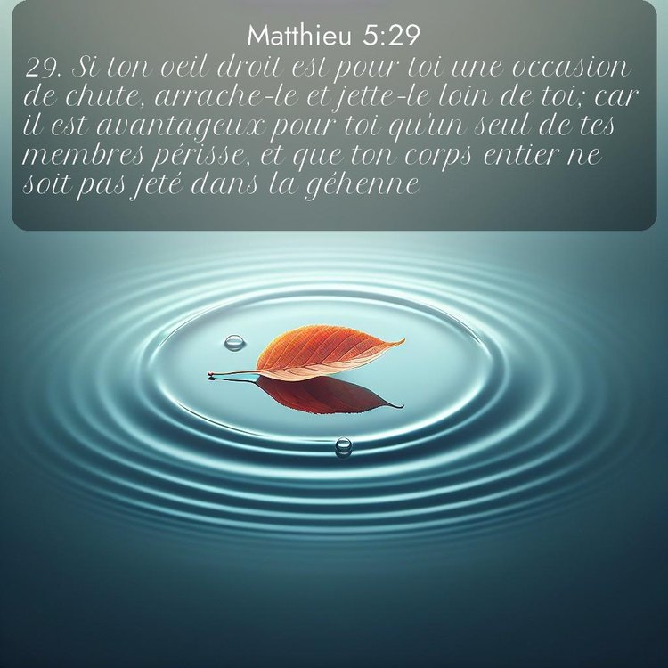 Segond Évangile selon Matthieu 5:29