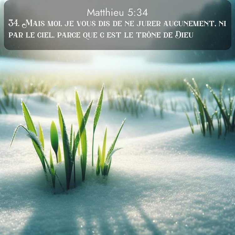 Segond Évangile selon Matthieu 5:34