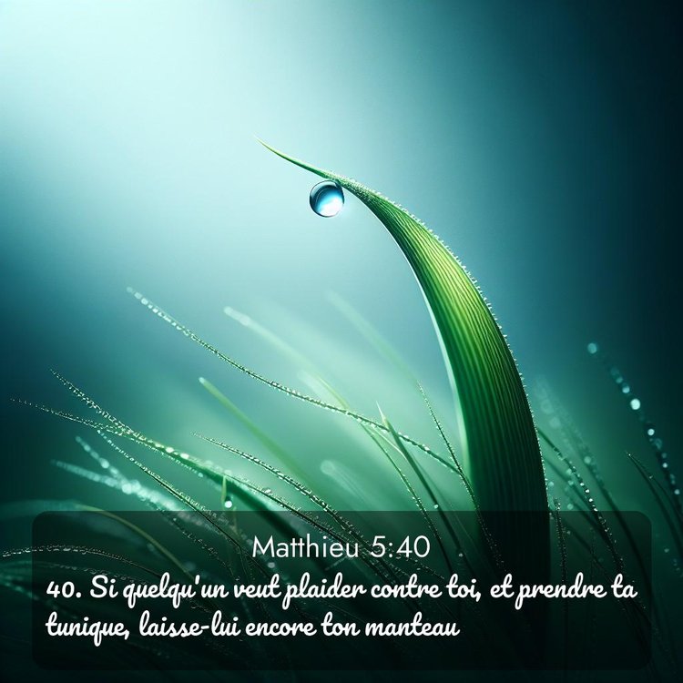 Segond Évangile selon Matthieu 5:40