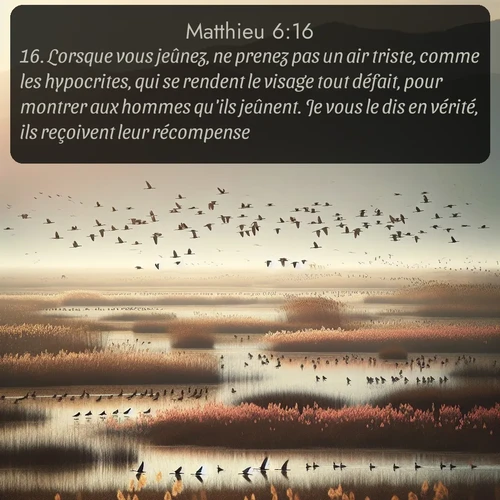 Segond Évangile selon Matthieu  ; image nature: image avec le verset biblique :Lorsque vous jeûnez, ne prenez pas un air triste, comme les hypocrites, qui se rendent le visage tout défait, pour montrer aux hommes qu&#039;ils jeûnent. Je vous le dis en vérité, ils reçoivent leur récompense. ;  ; 6:16