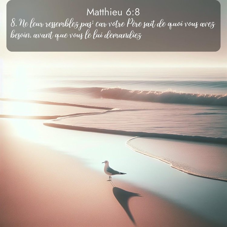 Segond Évangile selon Matthieu 6:8