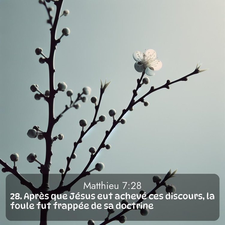 Segond Évangile selon Matthieu 7:28