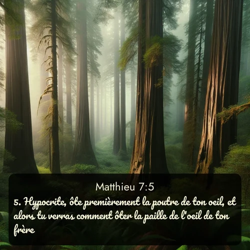 Segond Évangile selon Matthieu  ; image nature: image avec le verset biblique :Hypocrite, ôte premièrement la poutre de ton oeil, et alors tu verras comment ôter la paille de l&#039;oeil de ton frère. ;  ; 7:5