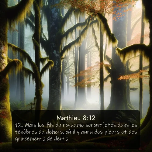 Segond Évangile selon Matthieu  ; image nature: image avec le verset biblique :Mais les fils du royaume seront jetés dans les ténèbres du dehors, où il y aura des pleurs et des grincements de dents. ;  ; 8:12