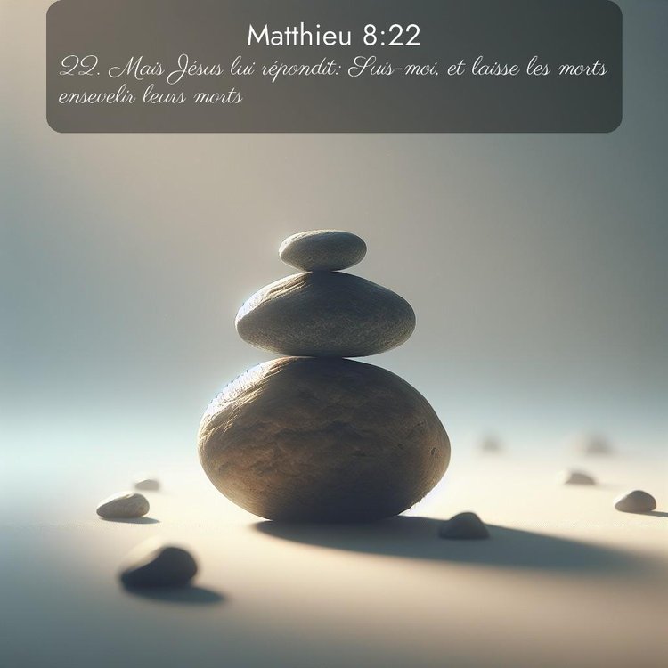 Segond Évangile selon Matthieu 8:22