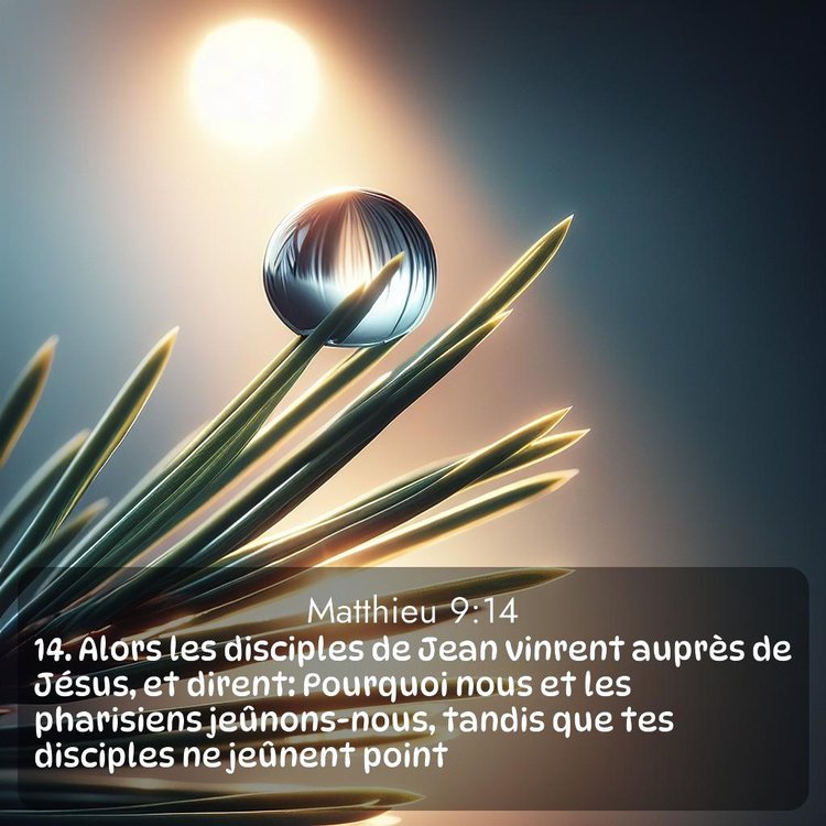 Bible Segond Évangile selon Matthieu 9:14