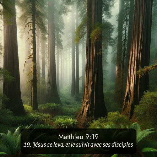 Segond Évangile selon Matthieu  ; image nature: image avec le verset biblique :Jésus se leva, et le suivit avec ses disciples. ;  ; 9:19