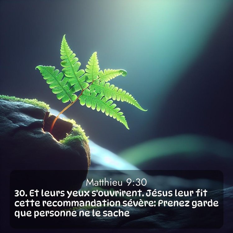 Segond Évangile selon Matthieu 9:30