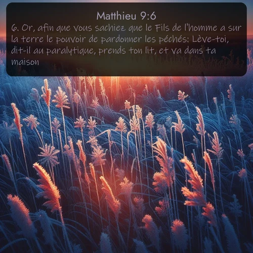 Segond Évangile selon Matthieu  ; image nature: image avec le verset biblique :Or, afin que vous sachiez que le Fils de l&#039;homme a sur la terre le pouvoir de pardonner les péchés: Lève-toi, dit-il au paralytique, prends ton lit, et va dans ta maison. ;  ; 9:6