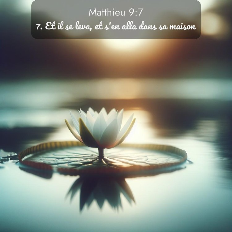 Segond Évangile selon Matthieu 9:7