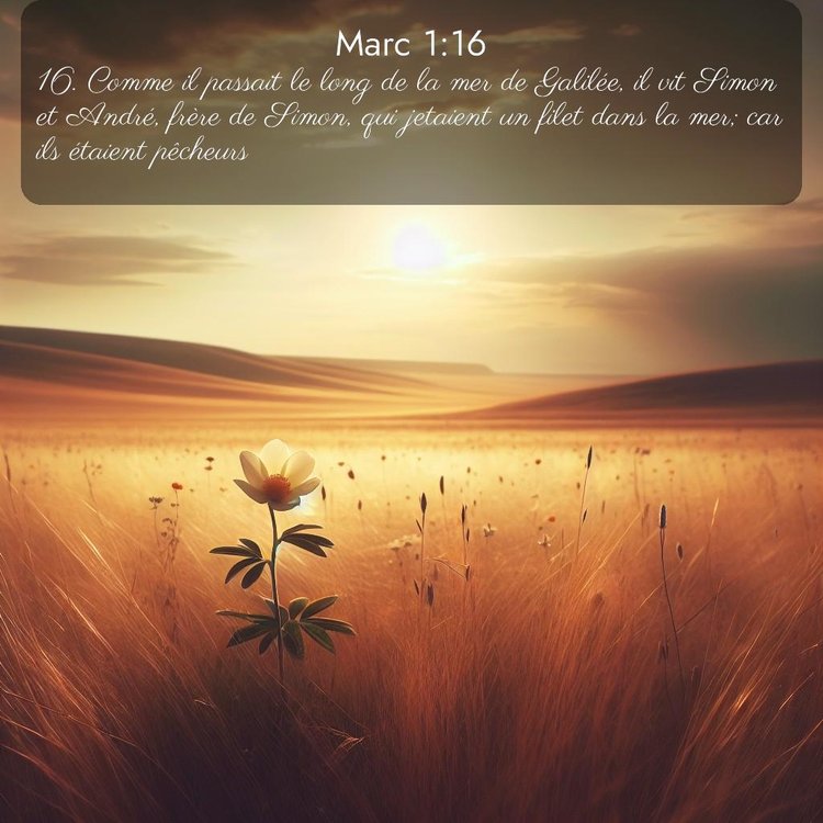 Segond Évangile selon Marc 1:16