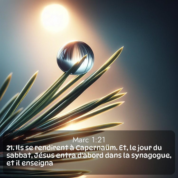 Segond Évangile selon Marc 1:21