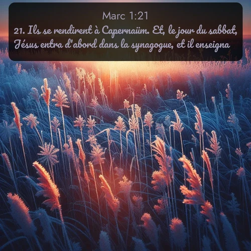 Segond Évangile selon Marc  ; image nature: image avec le verset biblique :Ils se rendirent à Capernaüm. Et, le jour du sabbat, Jésus entra d&#039;abord dans la synagogue, et il enseigna. ;  ; 1:21
