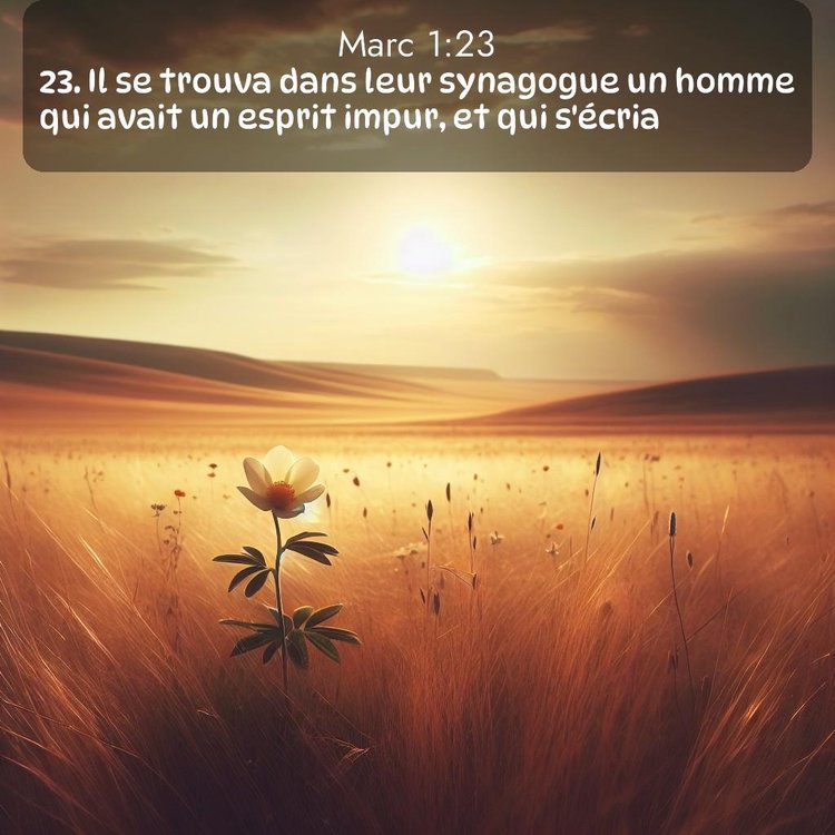 Segond Évangile selon Marc 1:23