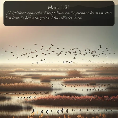 Segond Évangile selon Marc  ; image nature: image avec le verset biblique :S&#039;étant approché, il la fit lever en lui prenant la main, et à l&#039;instant la fièvre la quitta. Puis elle les servit. ;  ; 1:31
