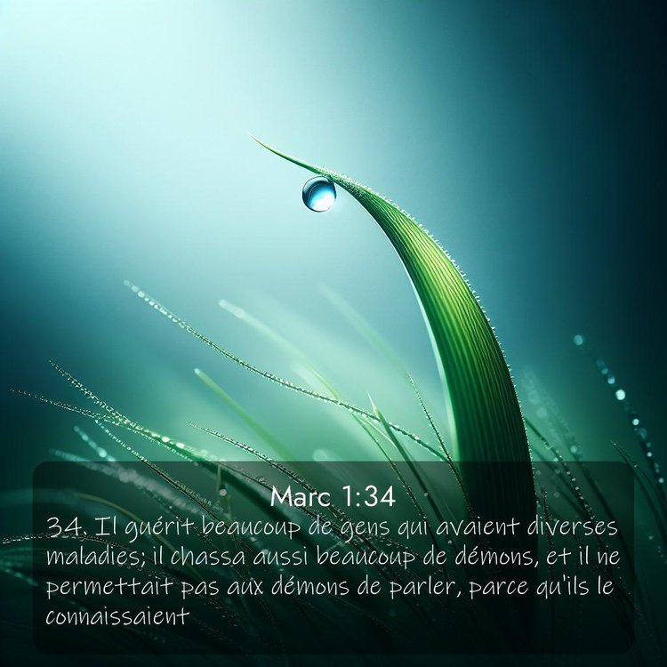 Segond Évangile selon Marc 1:34