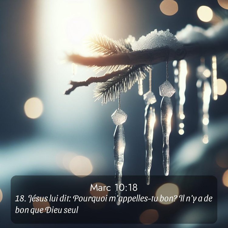 Segond Évangile selon Marc 10:18