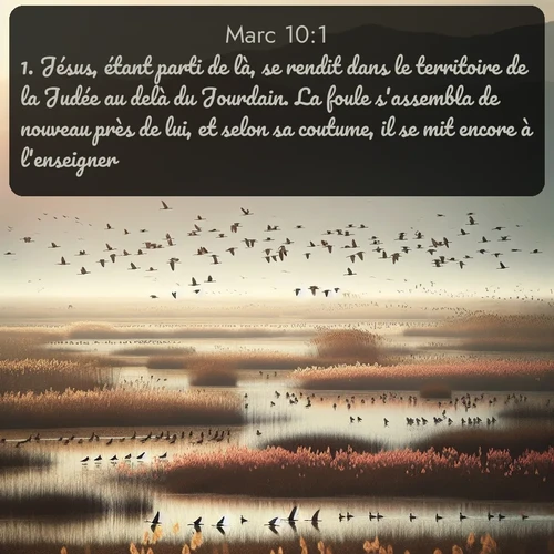 Segond 41 10:1