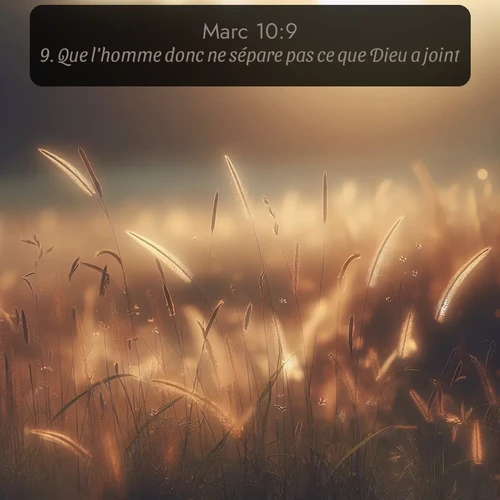 Segond Évangile selon Marc  ; image nature: image avec le verset biblique :Que l&#039;homme donc ne sépare pas ce que Dieu a joint. ;  ; 10:9