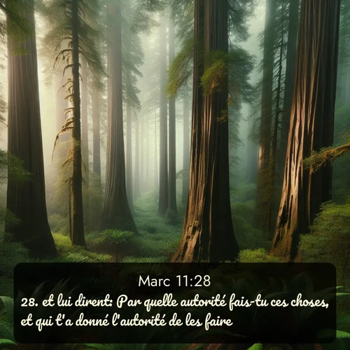 Segond Évangile selon Marc  ; image nature: image avec le verset biblique :et lui dirent: Par quelle autorité fais-tu ces choses, et qui t&#039;a donné l&#039;autorité de les faire? ;  ; 11:28