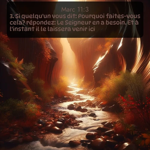 Segond 41 11:3