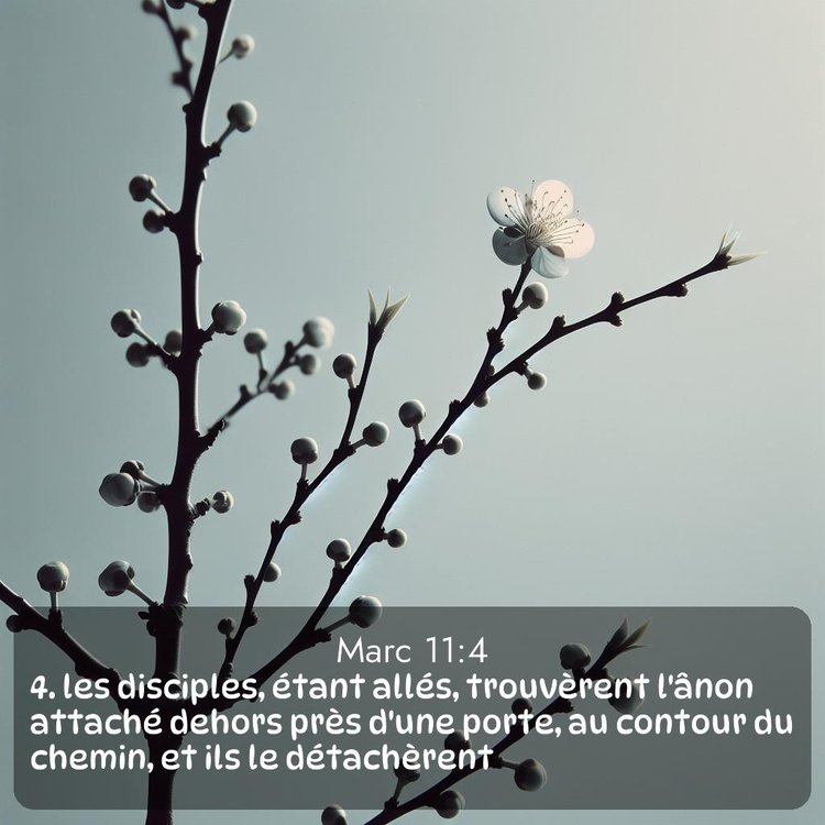 image nature avec verset biblique de la Bible