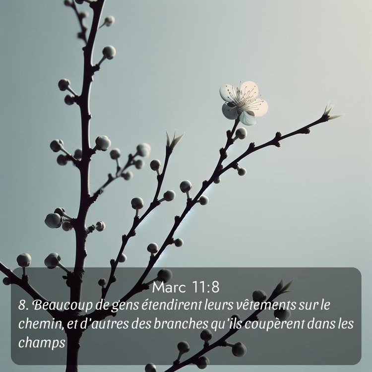 image nature avec verset biblique de la Bible