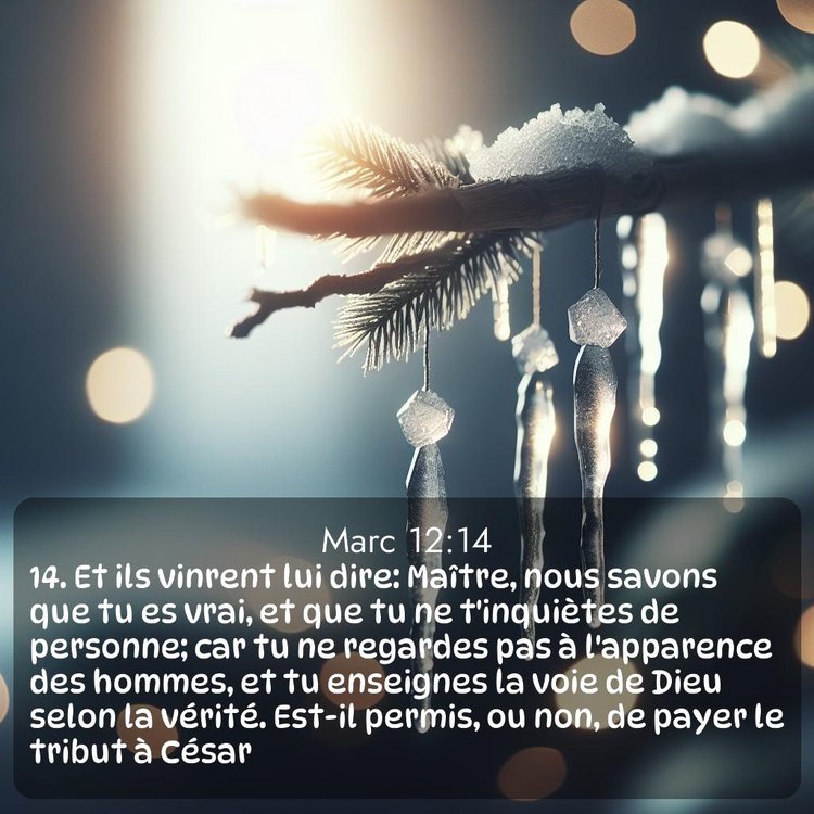 Segond Évangile selon Marc 12:14