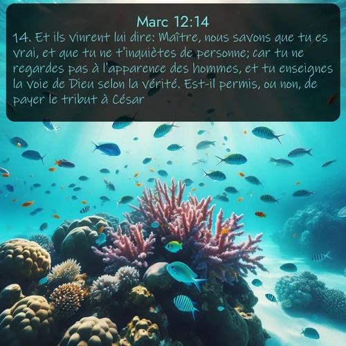 Segond Évangile selon Marc  ; image nature: image avec le verset biblique :Et ils vinrent lui dire: Maître, nous savons que tu es vrai, et que tu ne t&#039;inquiètes de personne; car tu ne regardes pas à l&#039;apparence des hommes, et tu enseignes la voie de Dieu selon la vérité. Est-il permis, ou non, de payer le tribut à César? ;  ; 12:14