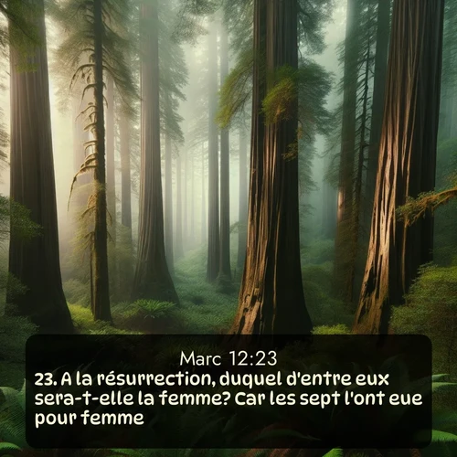 Segond Évangile selon Marc  ; image nature: image avec le verset biblique :A la résurrection, duquel d&#039;entre eux sera-t-elle la femme? Car les sept l&#039;ont eue pour femme. ;  ; 12:23