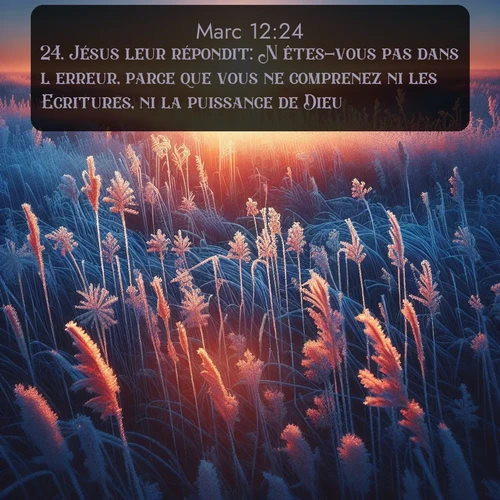 Segond Évangile selon Marc  ; image nature: image avec le verset biblique :Jésus leur répondit: N&#039;êtes-vous pas dans l&#039;erreur, parce que vous ne comprenez ni les Ecritures, ni la puissance de Dieu? ;  ; 12:24