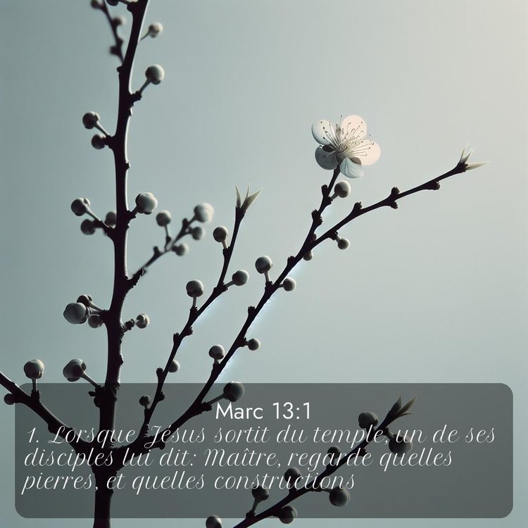 image nature avec verset biblique de la Bible