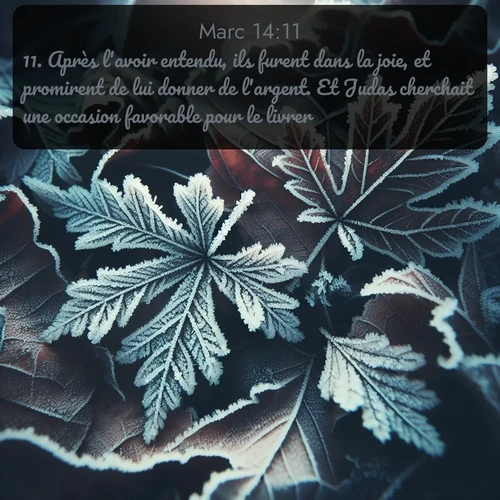 Segond Évangile selon Marc  ; image nature: image avec le verset biblique :Après l&#039;avoir entendu, ils furent dans la joie, et promirent de lui donner de l&#039;argent. Et Judas cherchait une occasion favorable pour le livrer. ;  ; 14:11